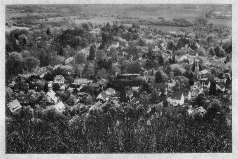 Blick vom Bismarckturm 1991