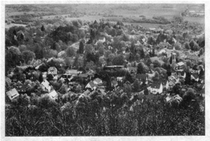 Blick vom Bismarckturm 1991