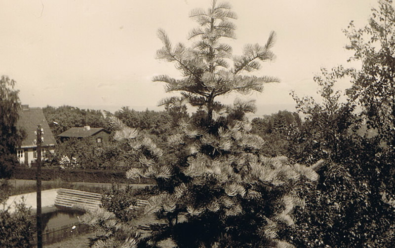 Löschteich 1943