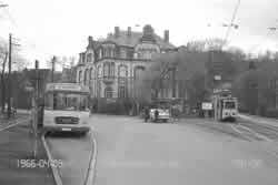 Luisenhaus 1966