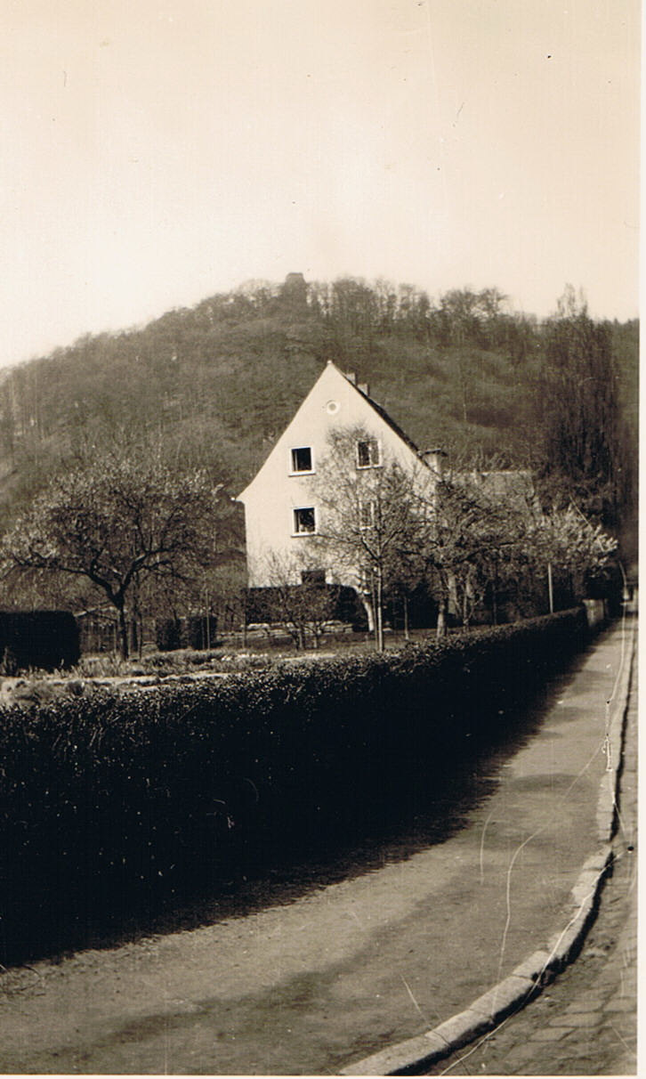 Blick in den oberen Bilsteiner Born 1953