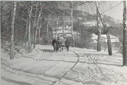 Konrad Adenauer Straße